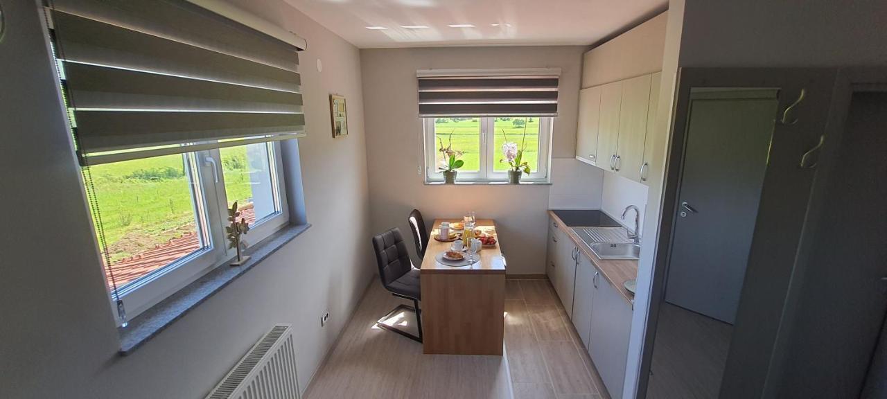 Apartmani Fenestra Tesla I Faust Otočac Εξωτερικό φωτογραφία