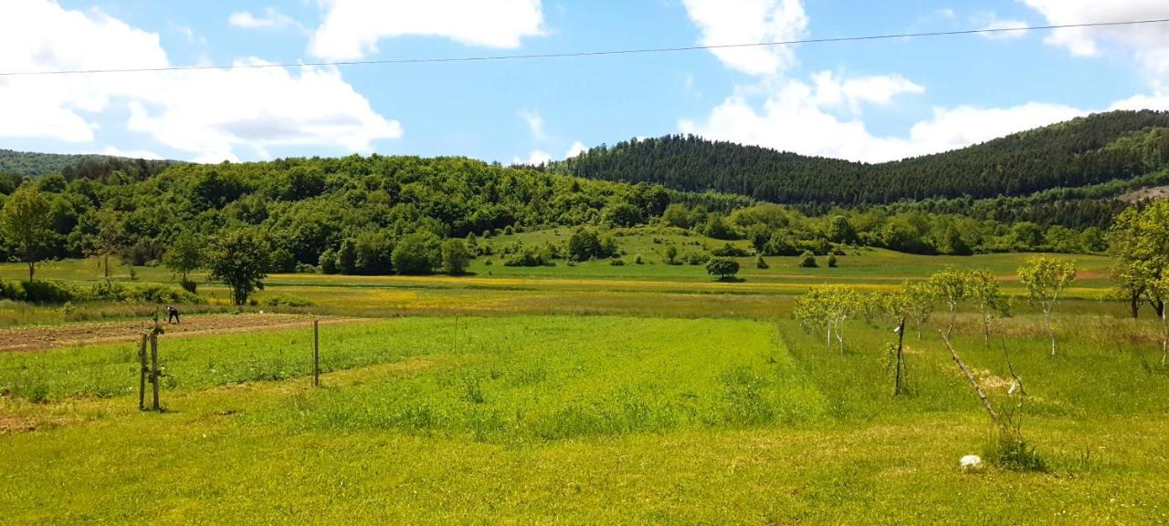 Apartmani Fenestra Tesla I Faust Otočac Εξωτερικό φωτογραφία